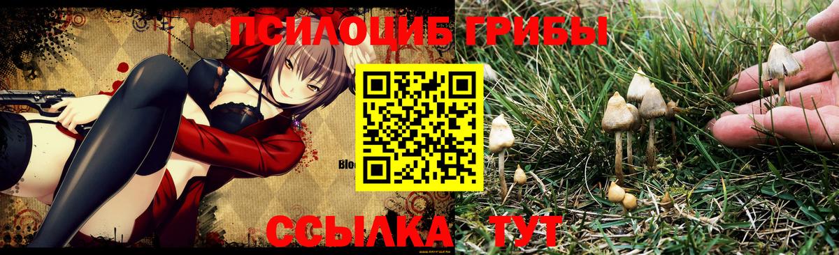 ГАШИШ  Гашиш  Гагарин  Меф МЯУ МЯУ   Вход с VPN  ЭКСТАЗИ 